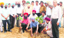 SDM Jagraon Mukand Singh and others plant a sapling at Jagraon on Thursday.