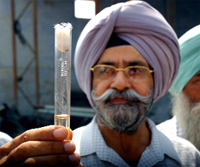 The District Health Officer shows dengue larvae taken from the PRTC workshop in Bathinda 