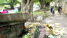 Garbage littered around a bin in Sector 20, Chandigarh.