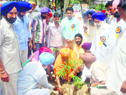 Sant Balbir Singh Seechewal plants a sapling at Sidhwan Bet. 