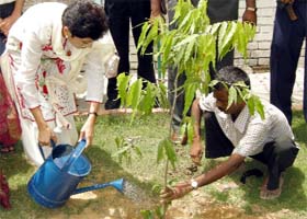 Kumari Selja plants a sapling at Haryana Institute of Public Administration in Gurgaon