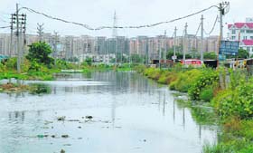 Stagnant water in Gurgaons South City