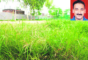 The volleyball court at the Shivalik Academy, Shivalik Public School, Chandigarh, wears a deserted look. (Inset) Mohan Nargetta.