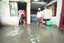 Rainwater at a house in Phase 3B2, Mohali, on Friday.