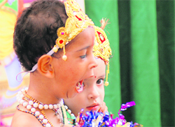 A tiny tot unable to control his yawn during Janamashtami celebrations at a school in Ludhiana.