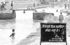 Youngsters take a dip in a canal at Mandoli village in Ghanaur to beat the heat