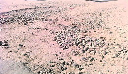 The dusty and dilapidated Sahnewal-Kohara road.