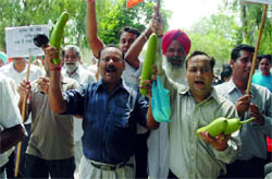 BJP workers protest against the rise in prices of essential commodities in Bathinda on Monday.
