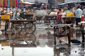 With officials concerned failing to do their task, filth and sewage cover the main mandi in Gurgaon