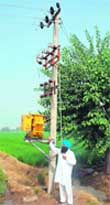 A farmer of Azimgarh village in Kaithal shows a new transformer in his fields.