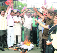 BJP activists burn an effigy of the Central government in protest against the price rise in Ludhiana on Monday.