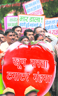 BJP activists raise anti-UPA government slogans during a protest against price rise near Parliament in New Delhi on Monday. 
