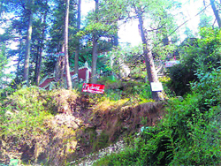 Billboards on deodar trees have come up in the Kanawar Wildlife Sanctuary in violation of the Wildlife Protection Act. 