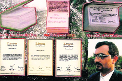 AB Raajbansh (inset) with his creations and the Limca Book of Records certificates.
