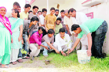 Congress men plant a sapling in Dehradun