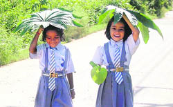 With the sun shining bright in Dehradun on Thursday, these schoolgirls decide to use leaves as shade