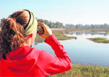 A foreign tourist uses a binocular for a closer view of migratory birds at the Assan Lake. 