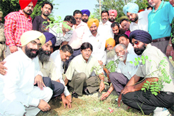 Harish Rai Dhanda, Chief Parliamentary Secretary, plants a sapling during a plantation drive in Ludhiana on Sunday.