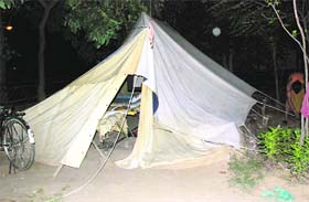 A few hours after the demolition drive, security tents were back in a green belt adjoining house No. 2128 in Phase X, Mohali
