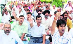 Teachers observe a strike over the revised pay scales in Karnal