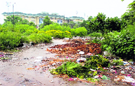 Heaps of garbage inside the Rajiv Gandhi Modern Sports Complex, Sector 63, in Mohali.