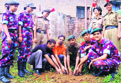 NCC cadets and teachers of a college planting a sapling at Dharamsala on Saturday.