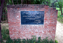 The foundation stone of college of veterinary sciences laid at Rampura Phul.