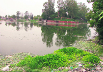 The Municipal Park lake in Ambala which is being used as a garbage dump.