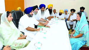 Deputy Chief Minister Sukhbir Badal interviewing an elected representative in Bathinda on Wednesday. Also seen in the picture to his right is his wife and MP from Bathinda Harsimrat Kaur Badal.