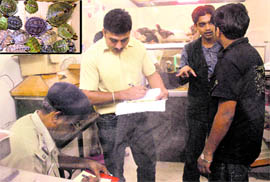 Police officials raid a meat shop from where turtles were recovered in Sector 37, Chandigarh, on Thursday; and (inset) turtles recovered from the meat shop.