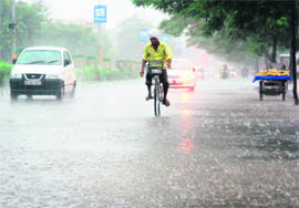 A cyclist braves heavy rain in Karnal on Thursday.
