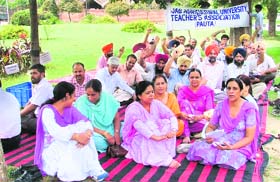 Members of the Punjab Agricultural University Teachers’ Association hold a protest in Ludhiana