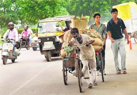 DAILY DRUDGERY: A rickshaw puller in Chandigarh toils hard to earn his livelihood