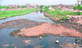 The cleaning of Buddha Nullah has become a matter of concern to residents of Ludhiana.