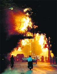The rising sun presents a beautiful scene under a canopy of trees in Mohali