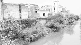 Houses in Ravindra Enclave at Baltana touch the embankment of a nullah in Zirakpur.