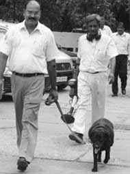 Dogsquad at Vikas Minar in New Delhi