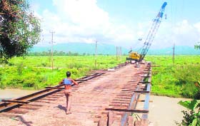 A temporary bridge being constructed at Bairagi Camp for the Mahakumbh