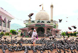 A woman feeds pigeons outside the Hazratbal shrine. A large number of devotees offer prayers there during the month of Ramzan.