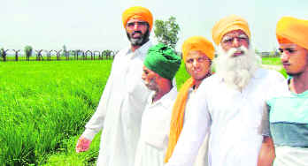 Farmers in their fields near barbed wire along zero line at Naushehra Dhala village.