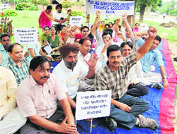 PAUTA members hold dharna outside the Thapar Hall on PAU campus in Ludhiana on Thursday.