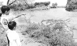 Ghaggar river in spate between Kami Kalan and lachru Kaian villages on Saturday.