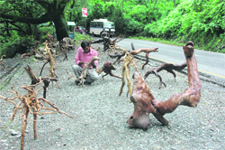 A driftwood artist at work on the Dehradun-Mussoorie road. 