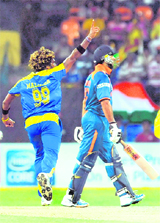 Lasith Malinga celebrates the wicket of Yuvraj Singh on Sarturday.