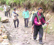 Tourists trek in the Valley of Flowers in Chamoli district. 