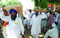 Farmers thronged counters for various crops and as many as 18,475 bags of different seeds were made available to them.