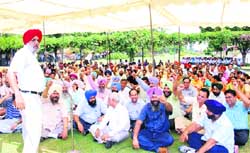 PAU employees protest against the non-implementation of the Fifth Pay Commission by the state government in Ludhiana