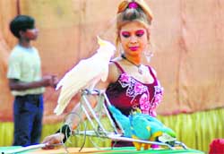 A circus show in progress in Ludhiana 