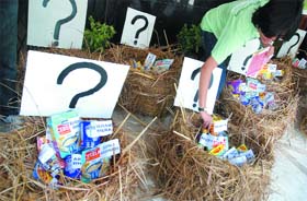 A Greenpeace activist protests against Nestl  one of the world's largest food producers for allegedly selling genetically contaminated food items in many Asian countries, in New Delhi