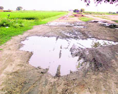 The pitiable condition of the Andloo-Kalsian road near Ahmedgarh.